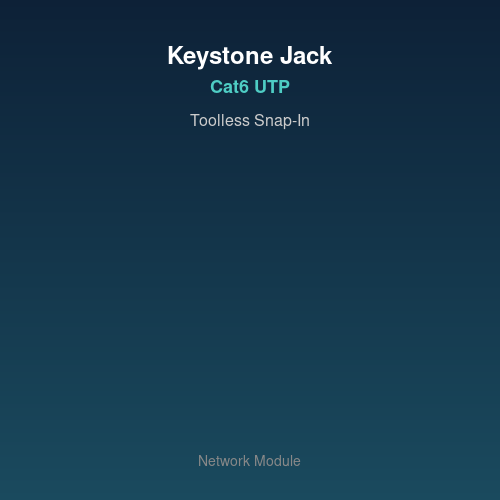 Keystone Jack Cat6 RJ45 მოდული