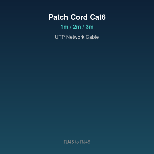 Patch Cord Cat6 RJ45 კაბელი