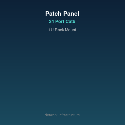 24-პორტიანი Cat6 პაჩ-პანელი