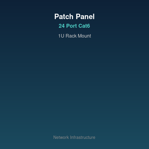 24-პორტიანი Cat6 პაჩ-პანელი